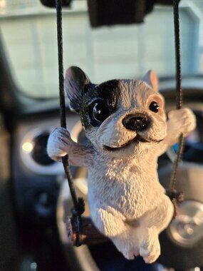 Rear View Mirror Frenchie Swing
